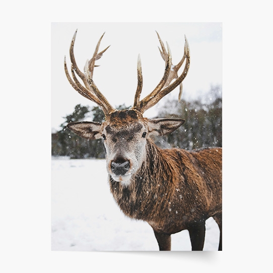 Plagát, Sob II, 20x30