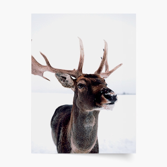 Plagát, Sob III, 20x30