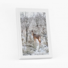 Obrazy, Sobov IV, 20x30 cm