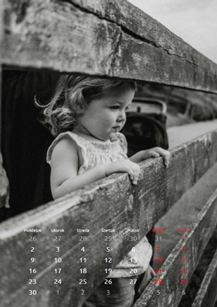 Nástenný kalendár, Tento rok, 30x40-A3 cm