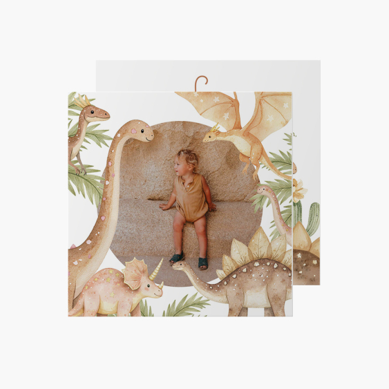 Fotoprianie Dinosaury 2, 14x14 cm