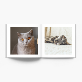 Album mačiatka fotokniha, 20x20 cm