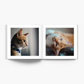 Album mačiatka fotokniha, 20x20 cm