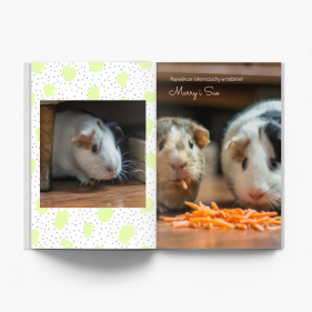 Moje zvieratká fotokniha, 20x30 cm