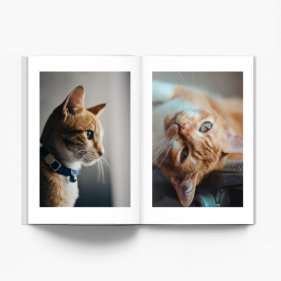Album mačiatka fotokniha, 20x30 cm