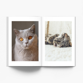 Album mačiatka fotokniha, 20x30 cm