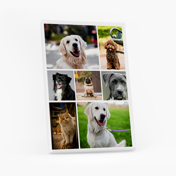 Obrazy, Koláž 7 fotiek, 30x40 cm