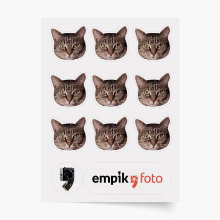 snímka