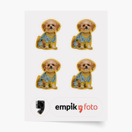 snímka