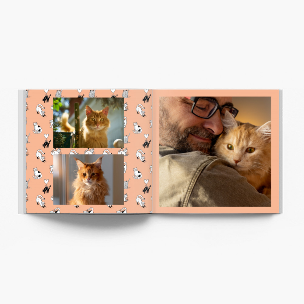 Kolekcia Mačky fotokniha, 30x30 cm