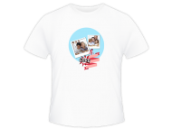 Tričko pánska, Moderná rodinka